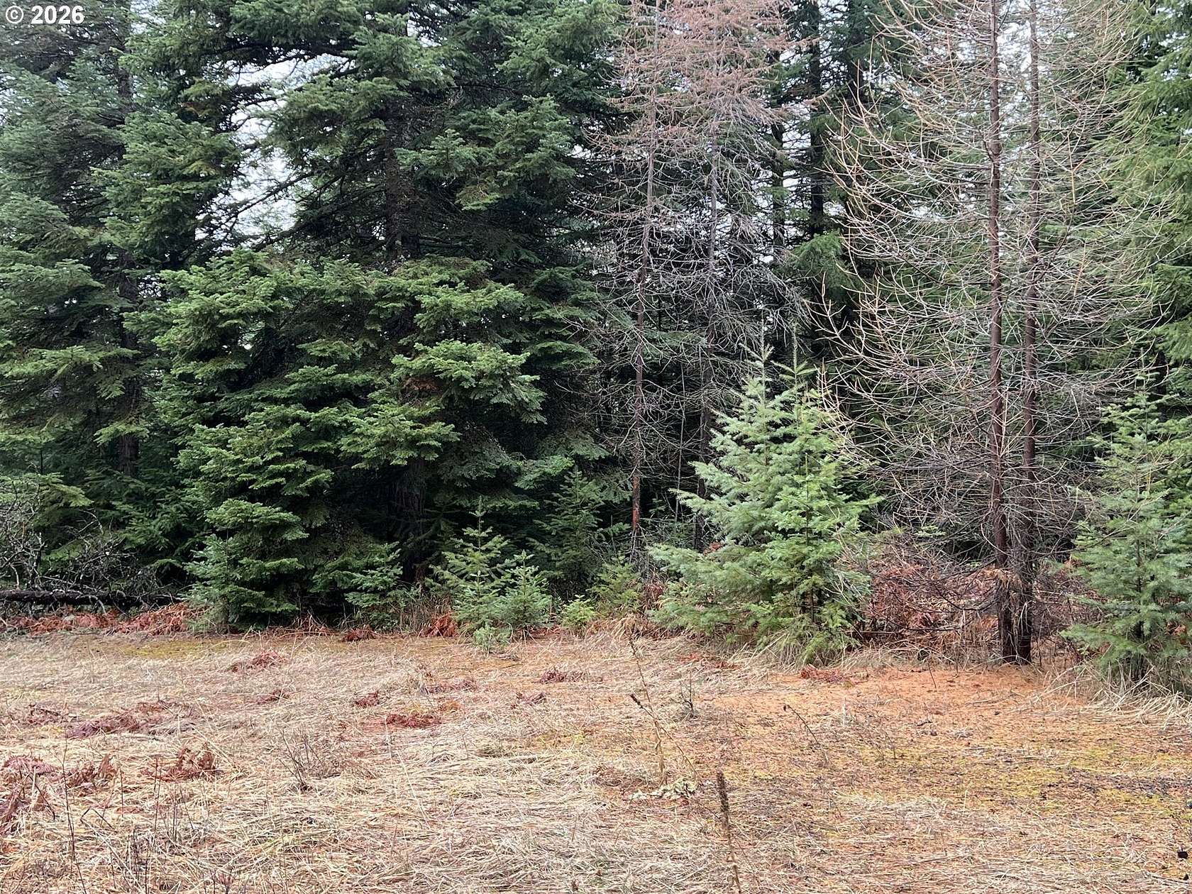 10 Acres of Land for Sale in Weston, Oregon