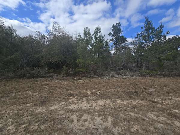 0.3 Acres of Residential Land for Sale in Chipley, Florida