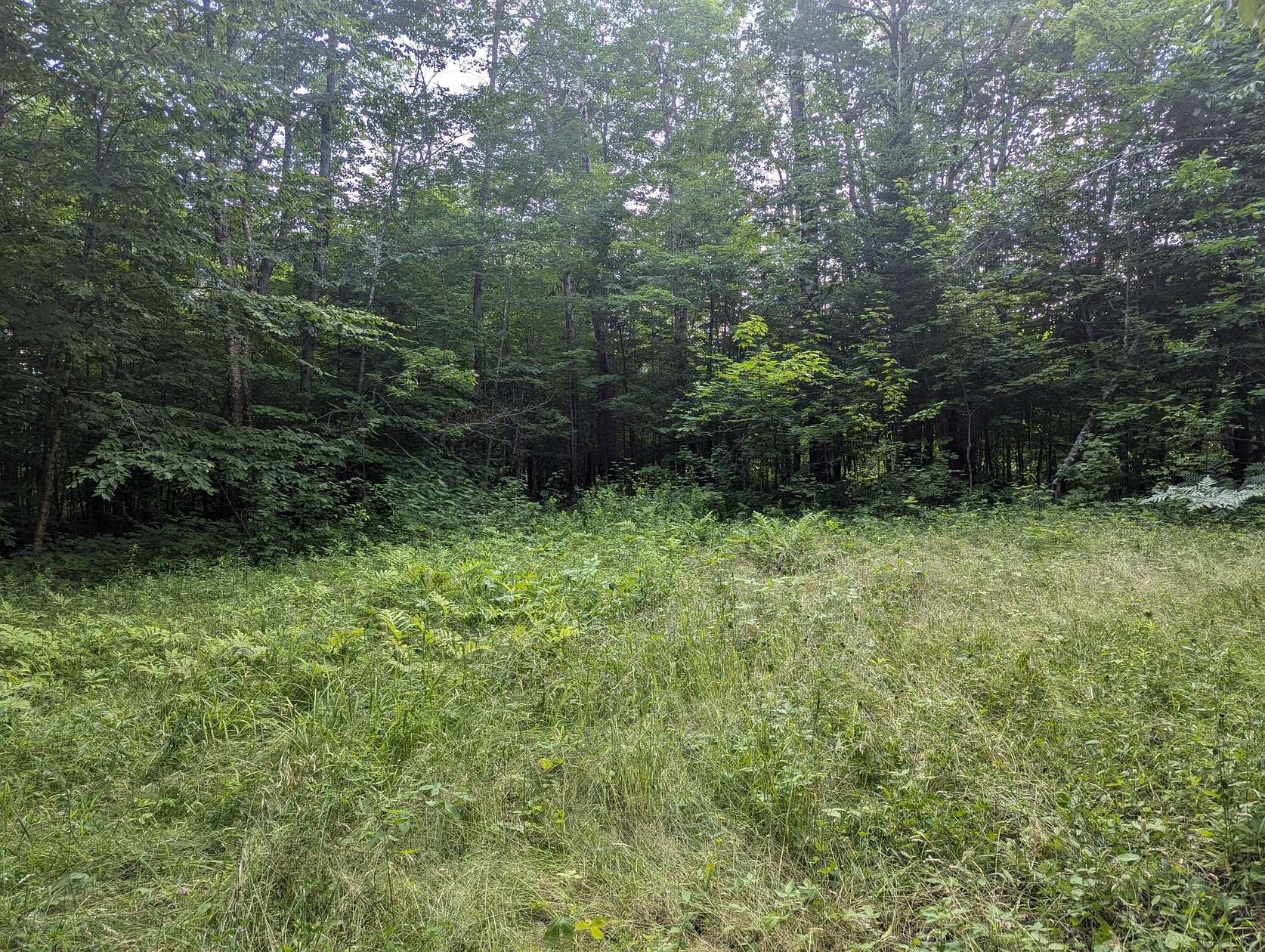 0.8 Acres of Land for Sale in Brownville, Maine