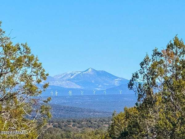 Residential Land for Sale in Ash Fork, Arizona