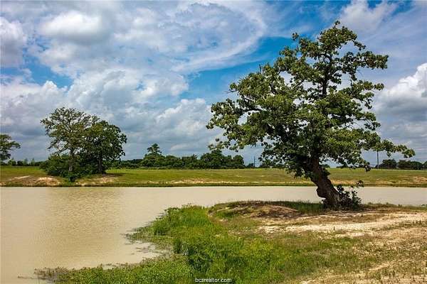 15.9 Acres of Land for Sale in Millican, Texas