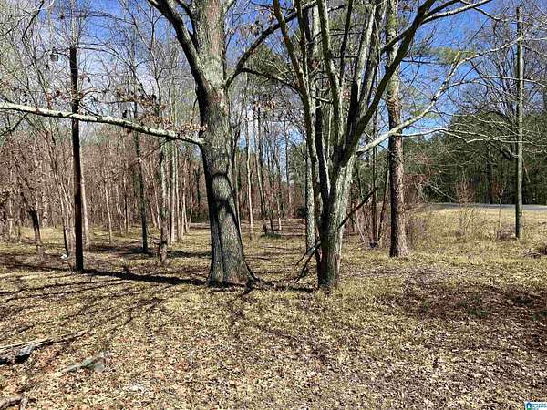 1.1 Acres of Commercial Land for Sale in Steele, Alabama