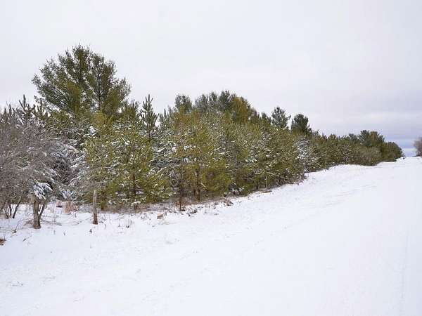 12.1 Acres of Recreational Land for Sale in Park Rapids, Minnesota