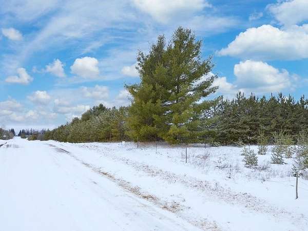 12.1 Acres of Recreational Land for Sale in Park Rapids, Minnesota