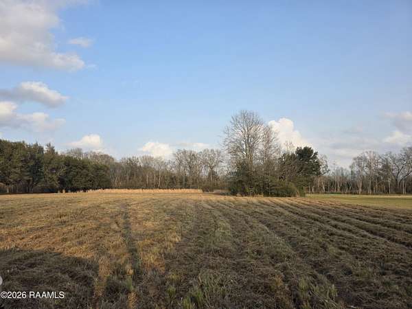 2 Acres of Residential Land for Sale in Scott, Louisiana