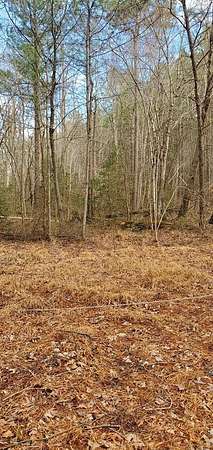 4 Acres of Residential Land for Sale in Stevensville, Virginia