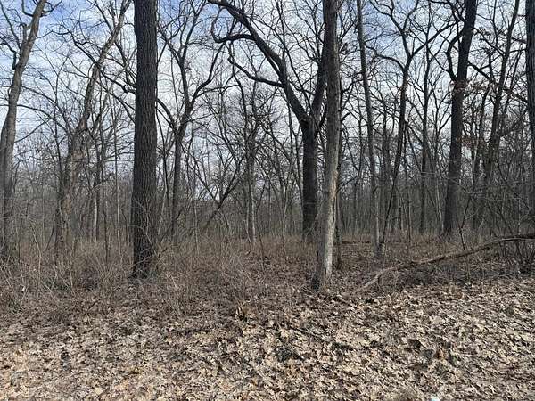 2 Acres of Land for Sale in Argyle, Wisconsin