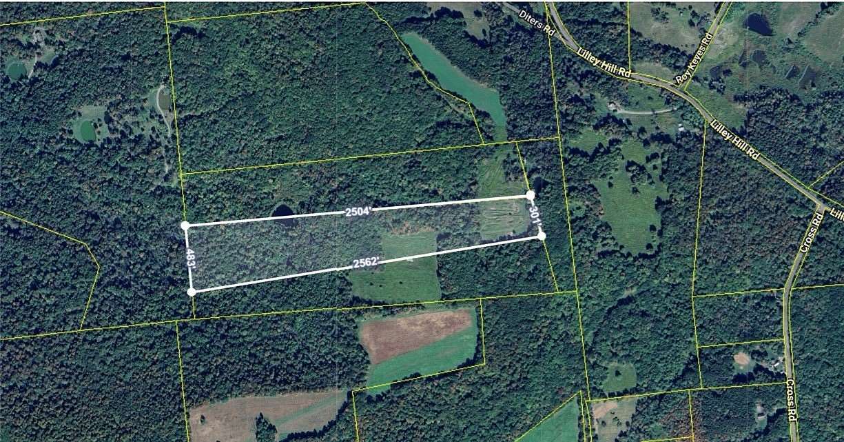 23.1 Acres of Recreational Land for Sale in Butternuts Town, New York