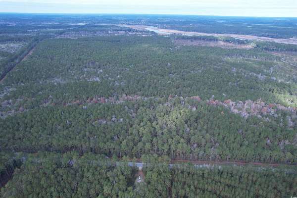 5.26 Acres of Residential Land for Sale in Georgetown, South Carolina