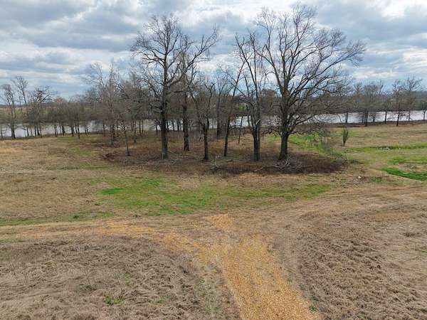 45 Acres of Land for Sale in Columbia, Louisiana
