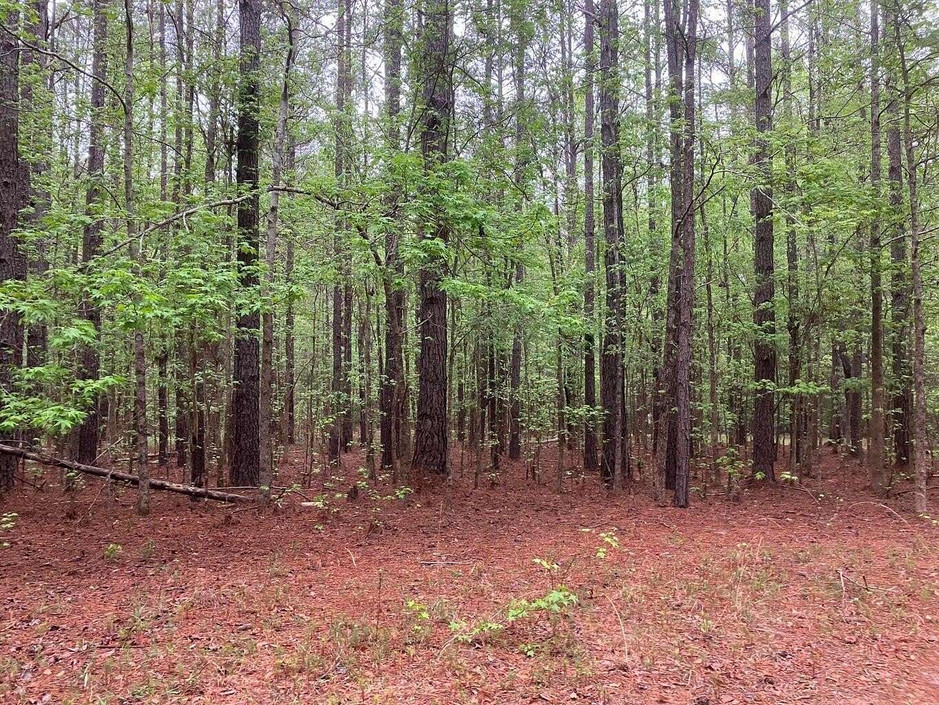 4.3 Acres of Mixed-Use Land for Sale in Appling, Georgia
