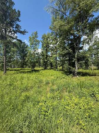 6.1 Acres of Residential Land for Sale in Harlem, Georgia