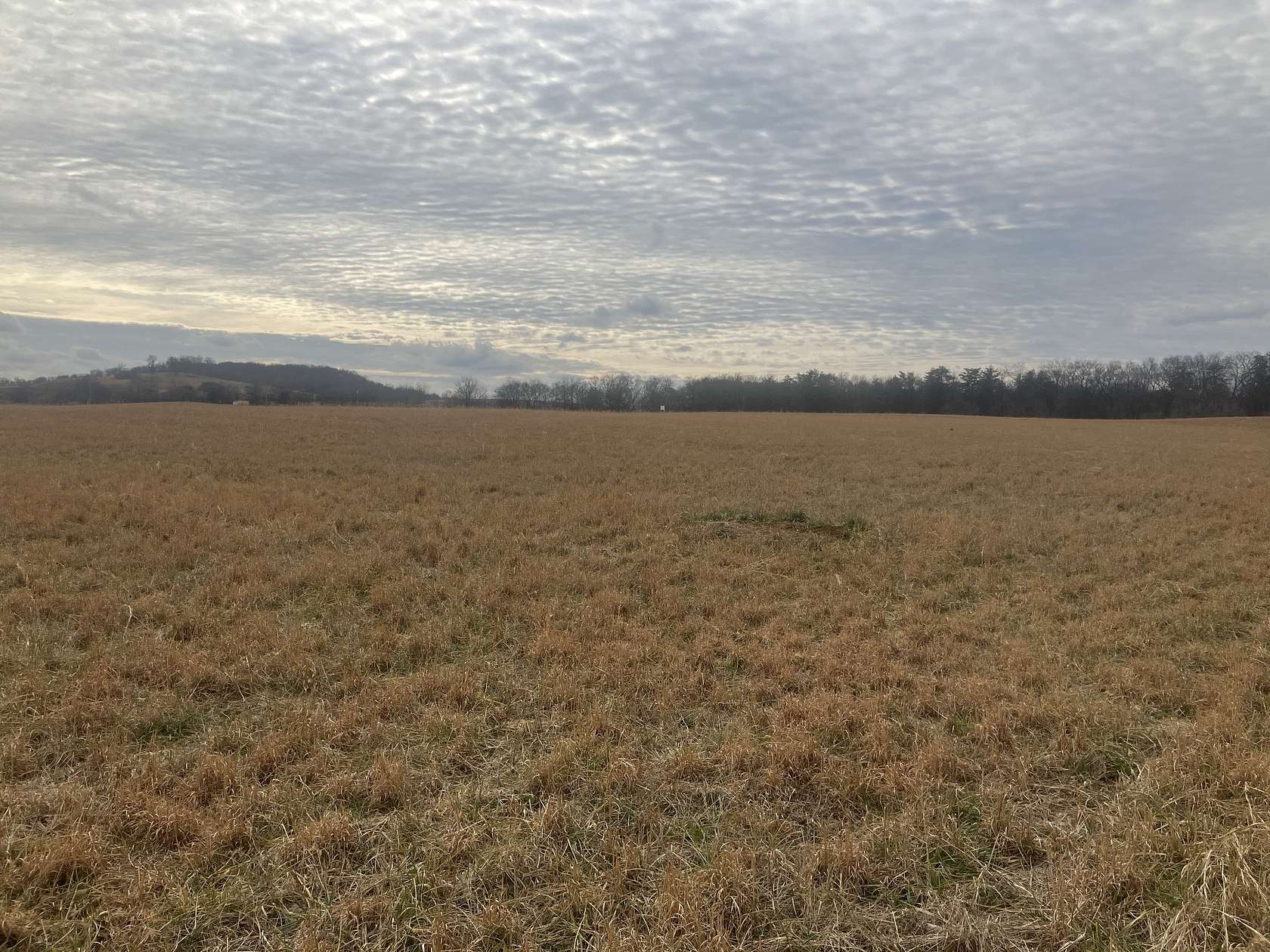 5 Acres of Land for Sale in Mount Pleasant, Tennessee