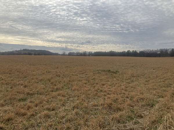 5 Acres of Land for Sale in Mount Pleasant, Tennessee