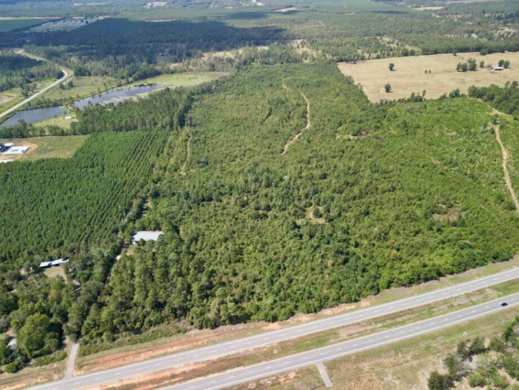 80 Acres of Agricultural Land for Sale in Waynesboro, Georgia
