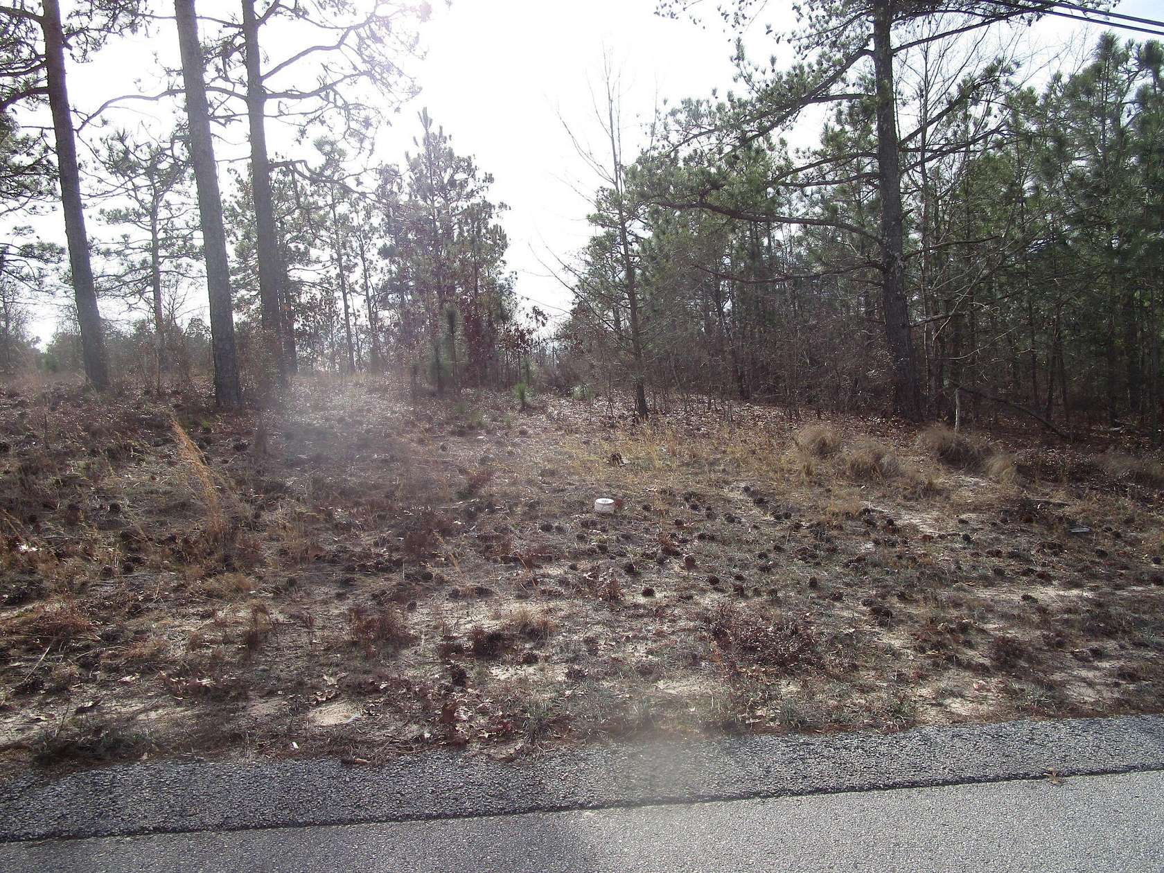 2.79 Acres of Residential Land for Sale in Hephzibah, Georgia