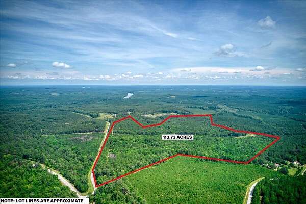 114 Acres of Land for Sale in Appling, Georgia