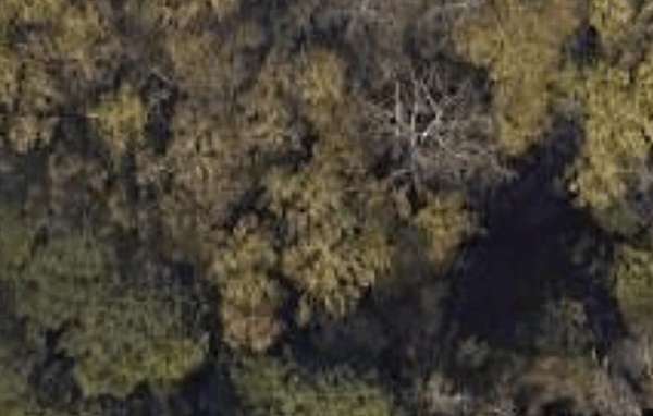 0.4 Acres of Residential Land for Sale in Augusta, Georgia