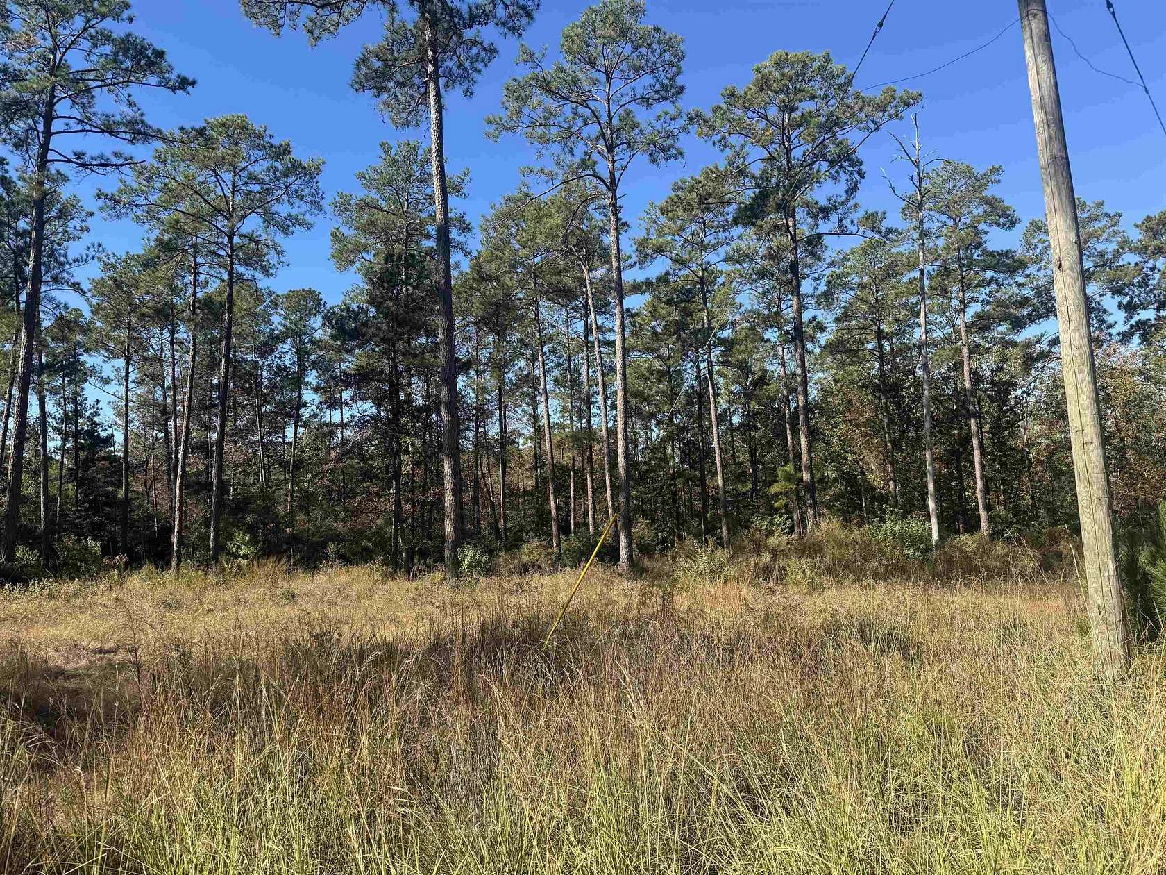 1.1 Acres of Residential Land for Sale in Brookeland, Texas