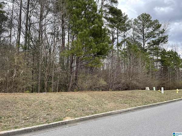 2.6 Acres of Residential Land for Sale in Alabaster, Alabama