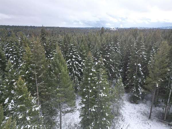 2.34 Acres of Residential Land for Sale in Weippe, Idaho