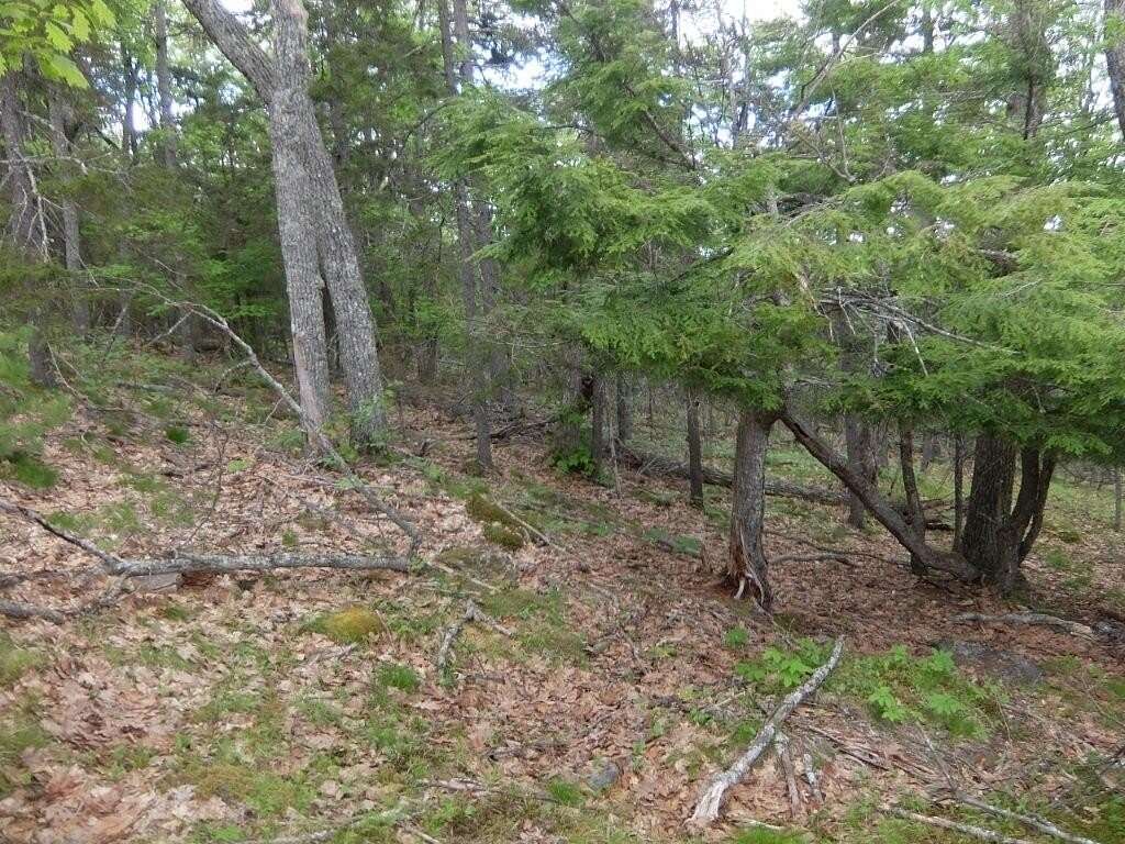 5 Acres of Residential Land for Sale in Hope, Maine