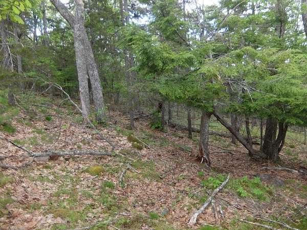 5 Acres of Residential Land for Sale in Hope, Maine