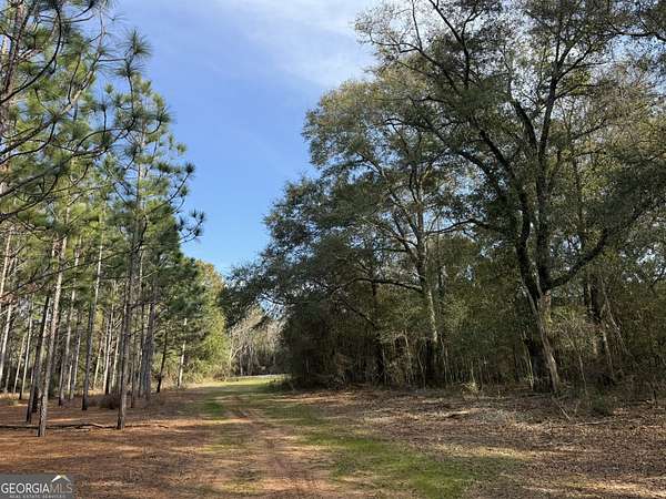 12 Acres of Recreational & Residential Land for Sale in Plains, Georgia