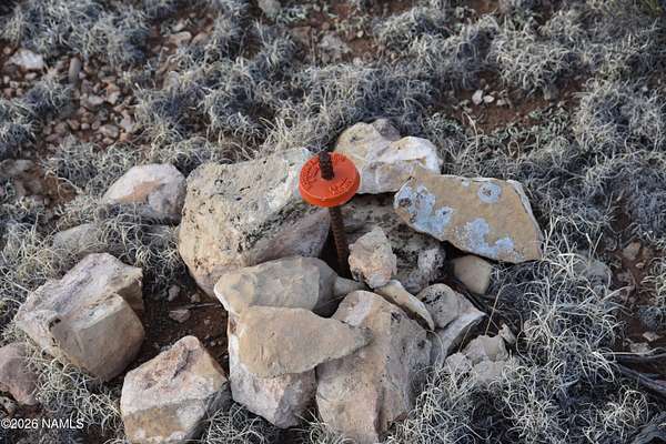 10 Acres of Land for Sale in Valle, Arizona