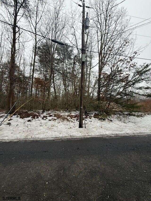 43.2 Acres of Recreational & Residential Land for Sale in Cedarville, New Jersey