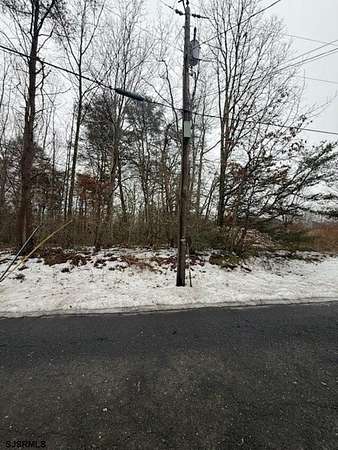 43.2 Acres of Recreational & Residential Land for Sale in Cedarville, New Jersey