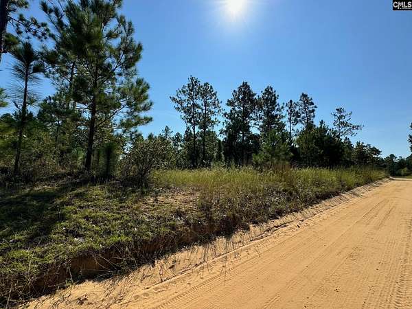 75 Acres of Recreational & Residential Land for Sale in Swansea, South Carolina