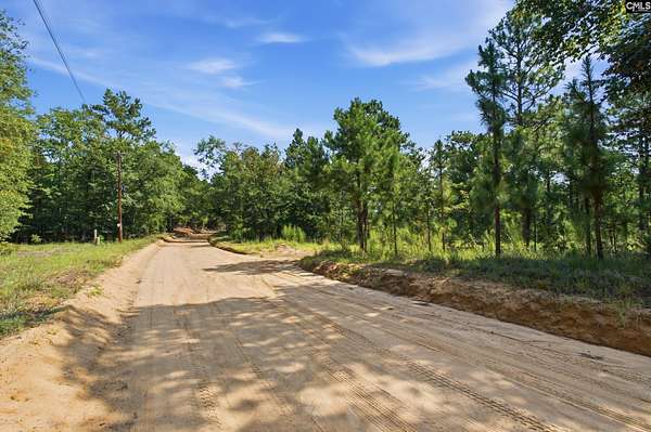 75 Acres of Recreational & Residential Land for Sale in Swansea, South Carolina