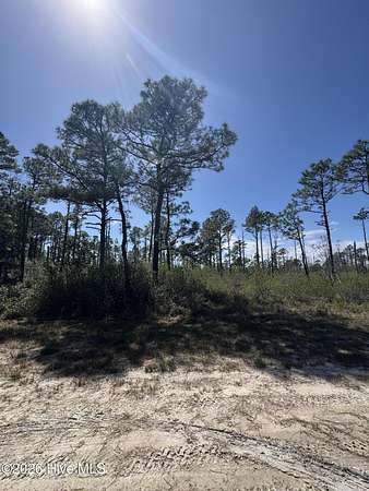 0.37 Acres of Land for Sale in Boiling Spring Lakes, North Carolina