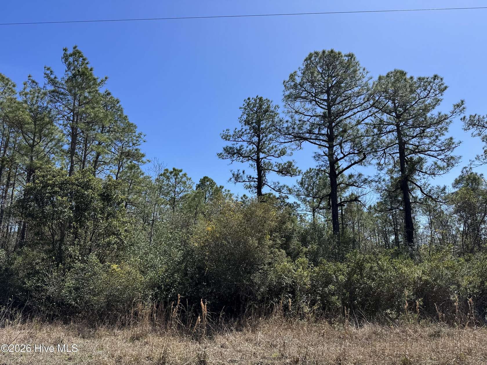 0.37 Acres of Land for Sale in Boiling Spring Lakes, North Carolina