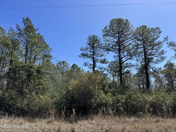 0.37 Acres of Land for Sale in Boiling Spring Lakes, North Carolina