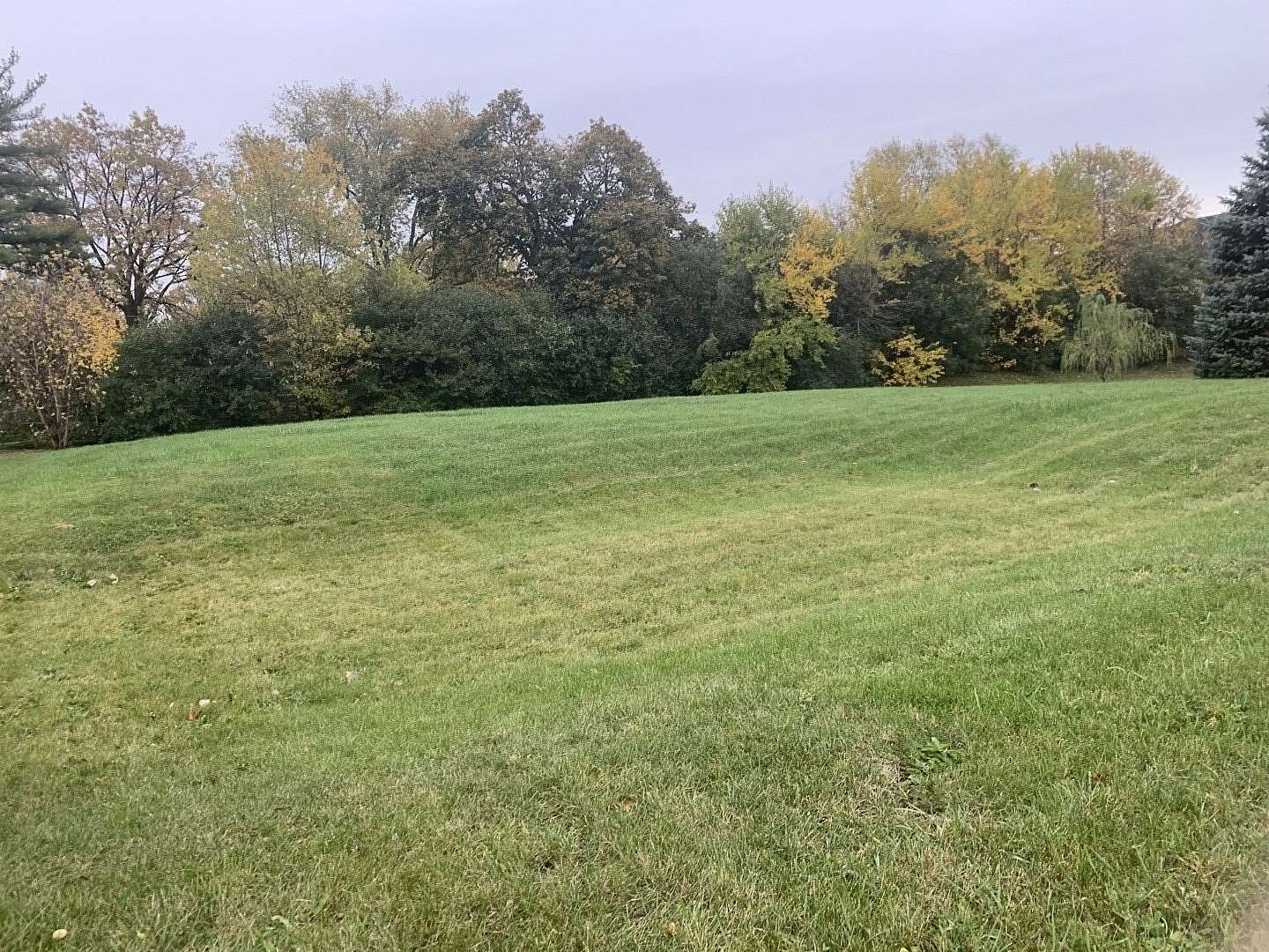 0.64 Acres of Residential Land for Sale in Willowbrook, Illinois