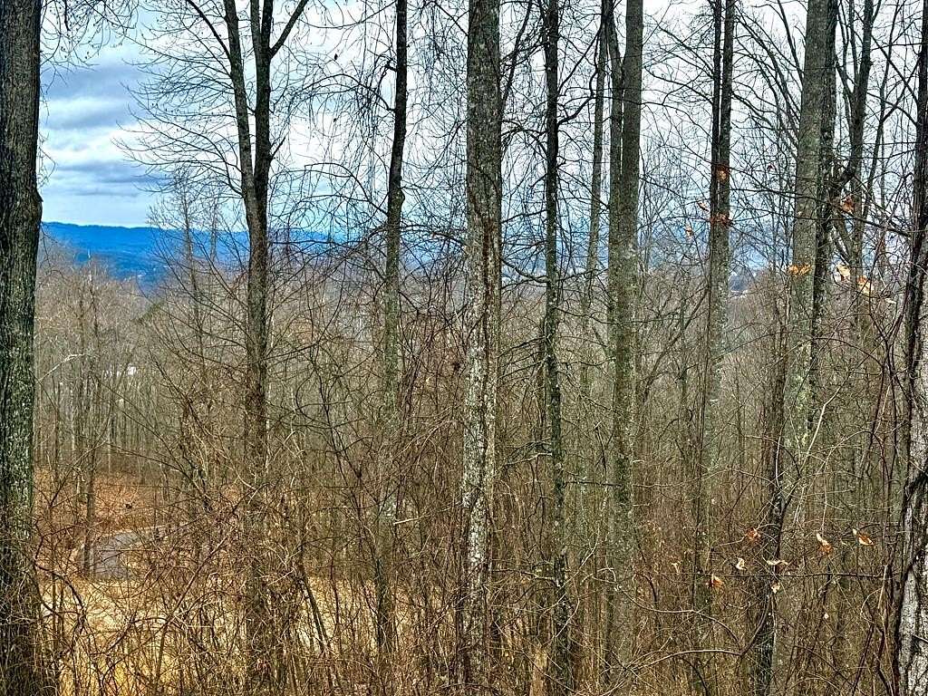 1.1 Acres of Residential Land for Sale in Young Harris, Georgia