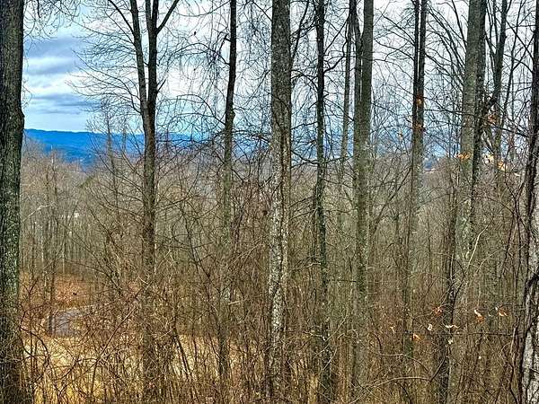 1.1 Acres of Residential Land for Sale in Young Harris, Georgia