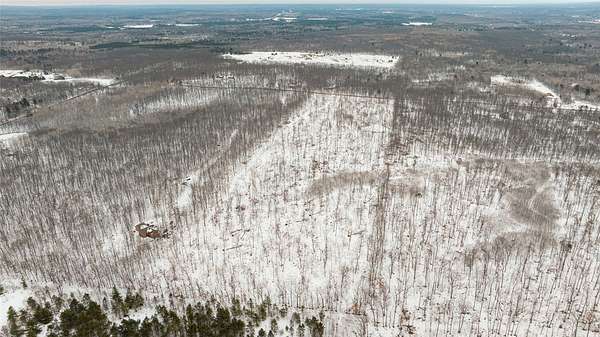 40 Acres of Recreational Land for Sale in Springbrook, Wisconsin