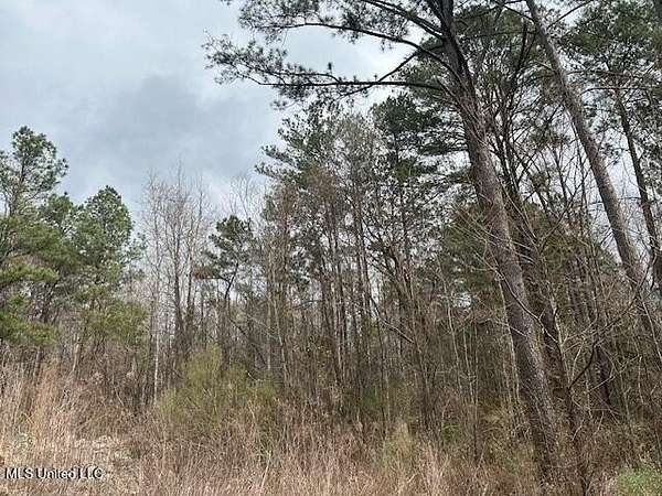 6.3 Acres of Land for Sale in Woodville, Mississippi
