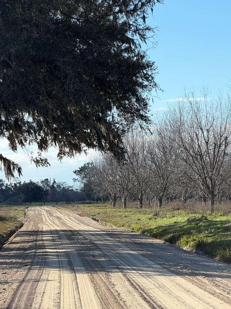 306 Acres of Land for Sale in Naylor, Georgia