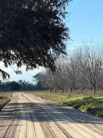 306 Acres of Land for Sale in Naylor, Georgia