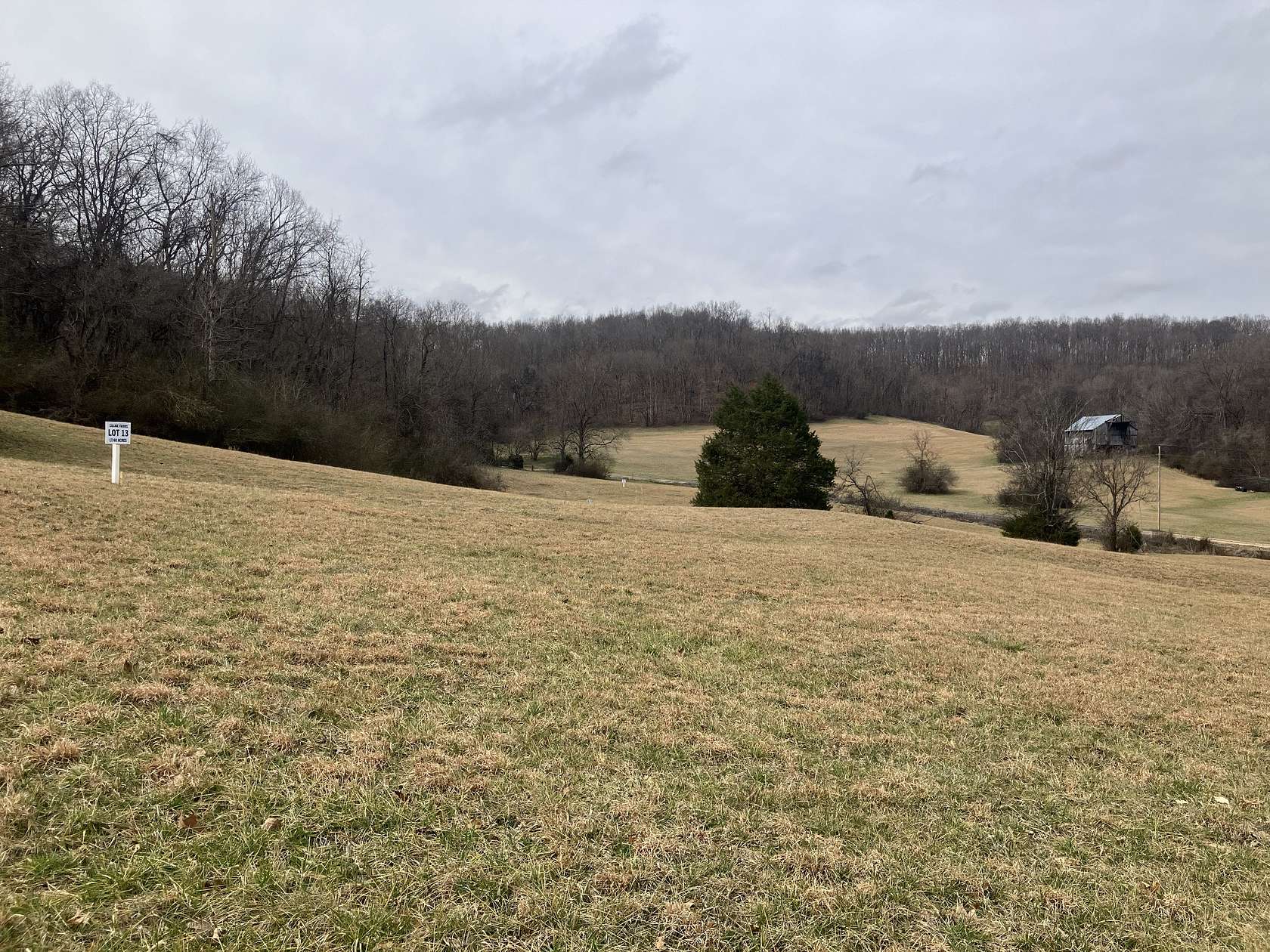 17.5 Acres of Land for Sale in Mount Pleasant, Tennessee