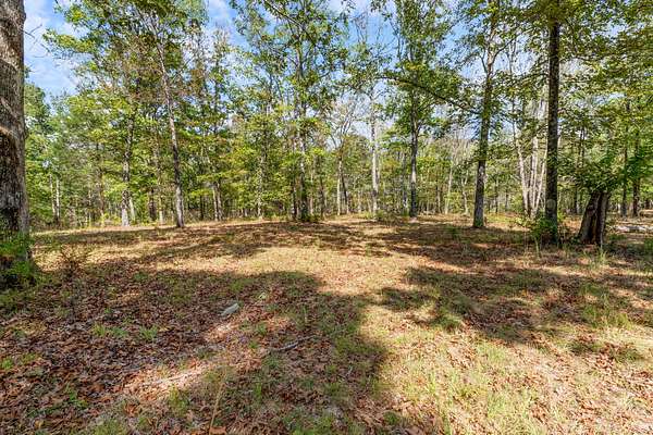45.6 Acres of Land for Sale in McEwen, Tennessee