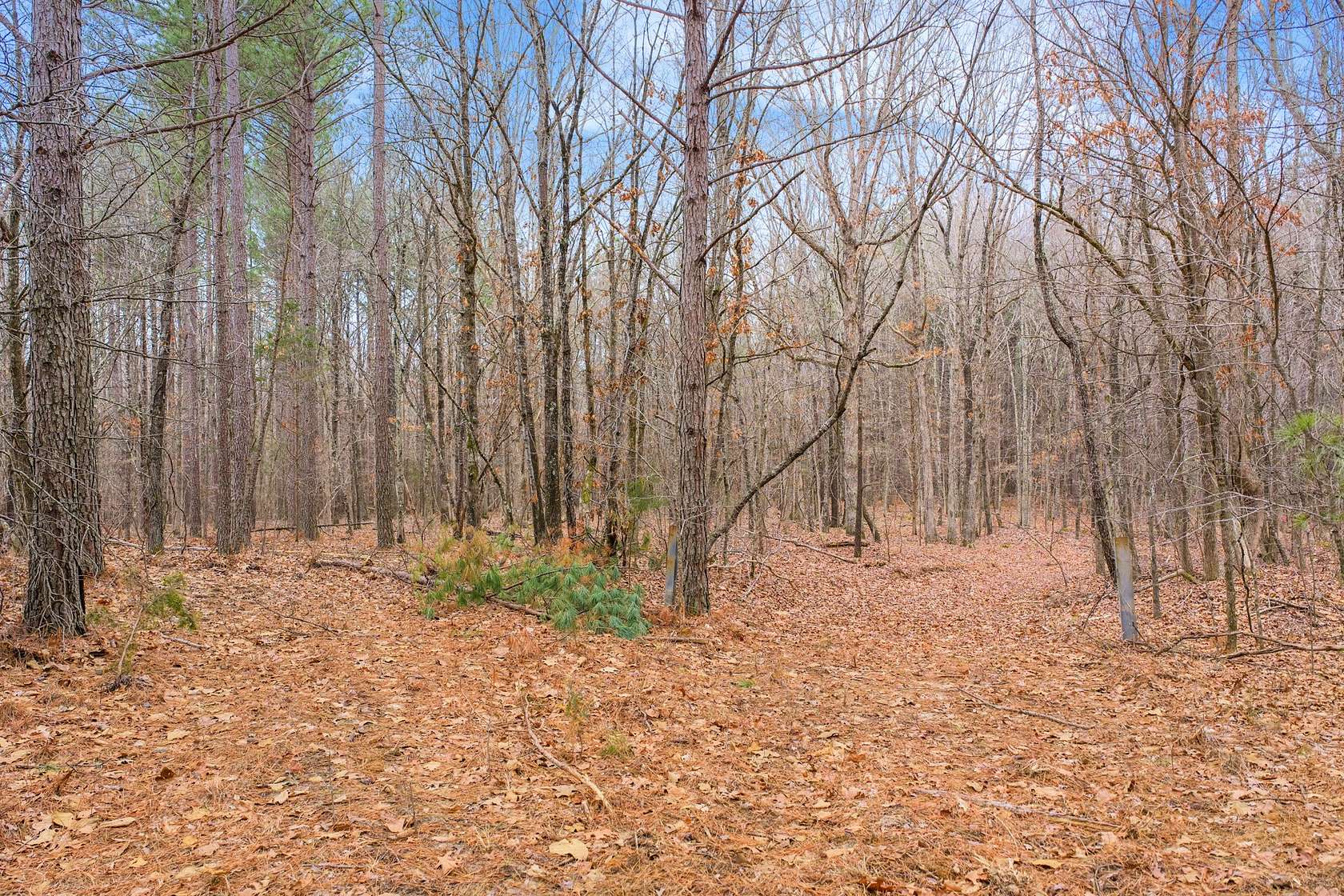 24 Acres of Land for Sale in Holladay, Tennessee