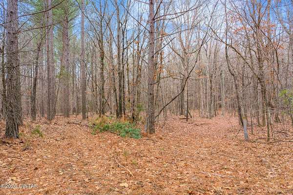 24 Acres of Land for Sale in Holladay, Tennessee