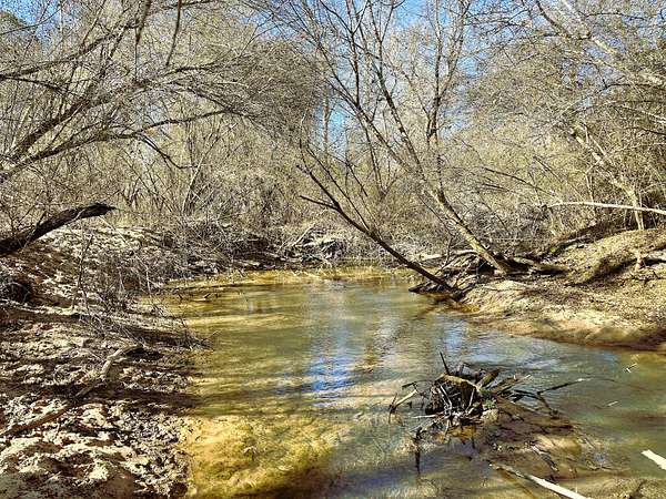 493 Acres of Recreational & Residential Land for Sale in Greenwood, South Carolina