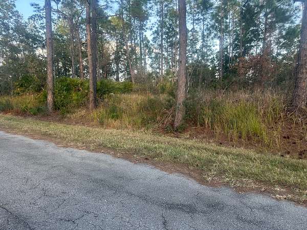 0.23 Acres of Residential Land for Sale in Sebring, Florida
