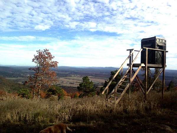 10 Acres of Recreational Land for Sale in Red Oak, Oklahoma